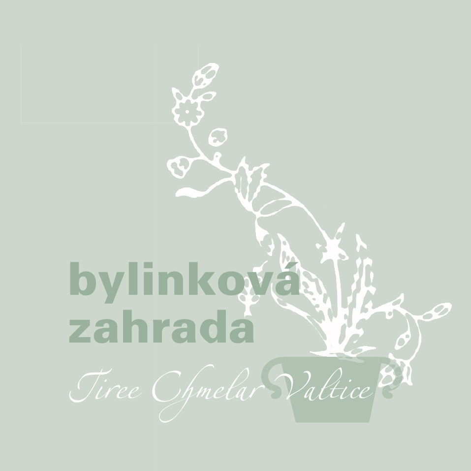 Bylinková zahrada